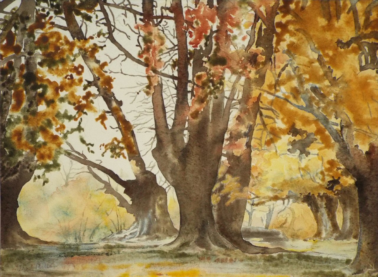 Watercolour - Autumn at High Beech, Epping Forest